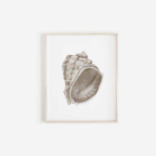 Zomer Home Decor Seashell Print