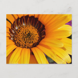 Zomer in bloei briefkaart