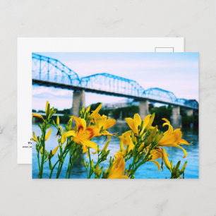 Zomer in Chattanooga, TN - Walnut Street Bridge Briefkaart