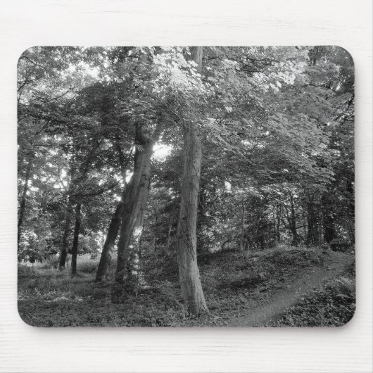Zomer in de Bossen Muismat (Voorkant)
