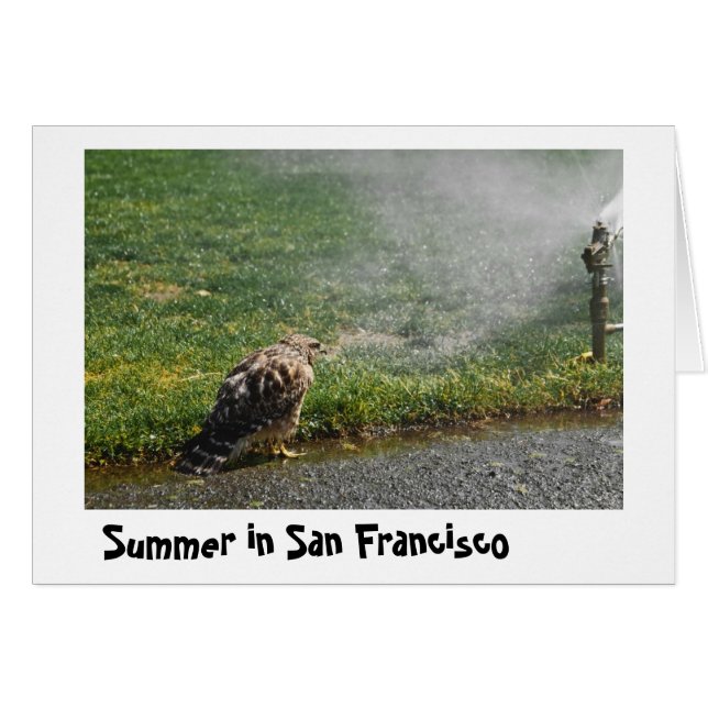 Zomer in de stad (Voorkant Horizontaal)