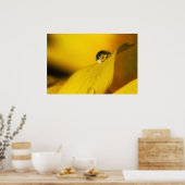 Zomer in een druppel II. Poster (Keuken)