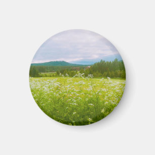 Zomer in Hälsingland - Helsingia Magneet
