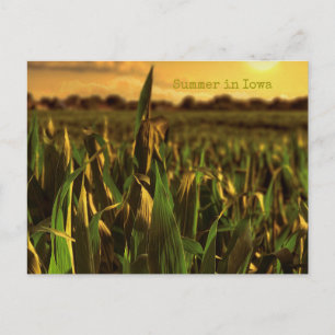 Zomer in het Briefkaart Iowa