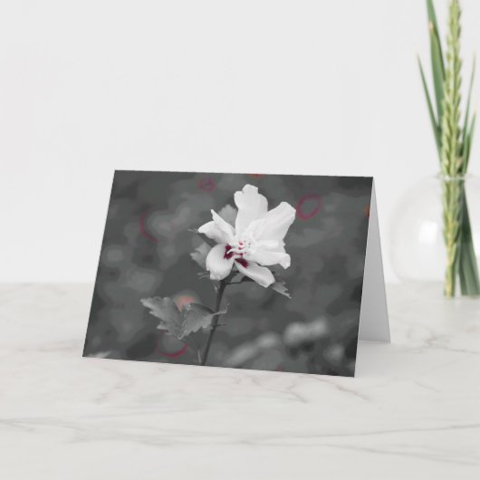 zomer kaart (Voorkant)