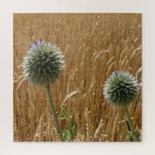 zomer, landbouw, veld, natuur, landschap, legpuzzel