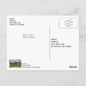 Zomer Oorlog Arend Molen Word Gauw Weer Beter Ansi Briefkaart (Achterkant)