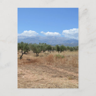 Zomer op Kreta Briefkaart