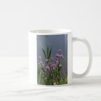 Zomer paarse phlox bloemen mok