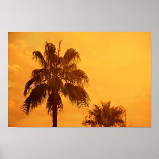 Zomer palm strand ontwerp poster (Voorkant)