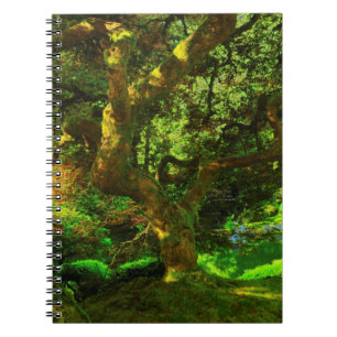 Zomer, Portland Japanse Tuin, Portland Notitieboek