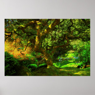Zomer, Portland Japanse Tuin, Portland Poster