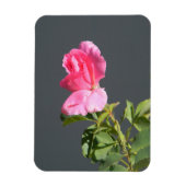 Zomer tijdliefde... magneet (Verticaal)