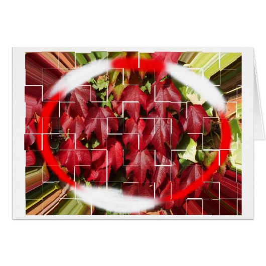 zomer tot herfst (Voorkant Horizontaal)