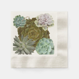 Zomer Tuinbruiloft, Kippen en Kuikens, Succulenten Servet