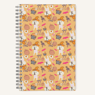 Zomer tussen heksen en notitieboek