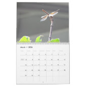 Zomer van de dragonfly ~ 2014 kalender (Mar 2026)