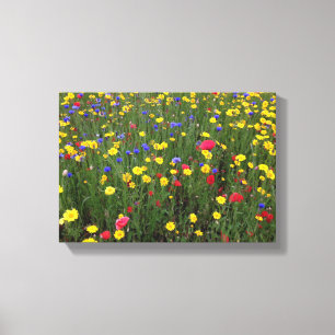 Zomer Wildbloemen uit Loch Ness Canvas Afdruk