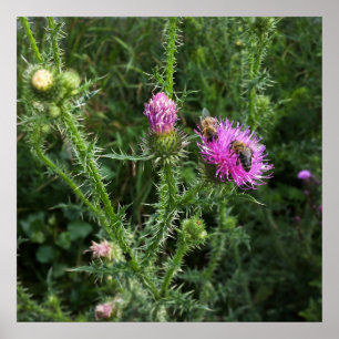 zomeractiviteit poster