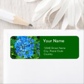 zomerblauwe hydrangebloemen en groene bladeren etiket (Insitu)