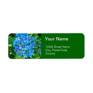 zomerblauwe hydrangebloemen en groene bladeren etiket