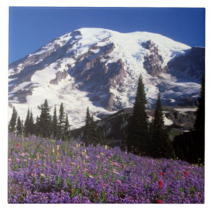 zomerbloemen aan de voet van Mount Rainier, 2 Tegeltje