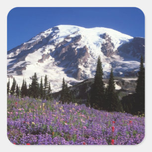 zomerbloemen aan de voet van Mount Rainier, 2 Vierkante Sticker