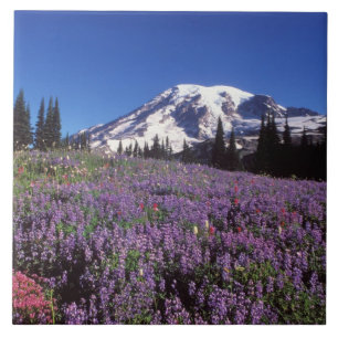 zomerbloemen aan de voet van Mount Rainier, Tegeltje