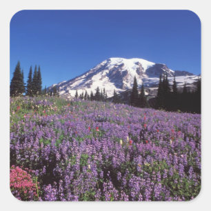 zomerbloemen aan de voet van Mount Rainier, Vierkante Sticker