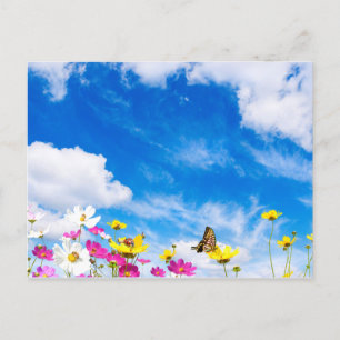 Zomerbloemen en hemel briefkaart