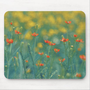 zomerbloemen (Floral Field) (Rode bloemen) Muismat