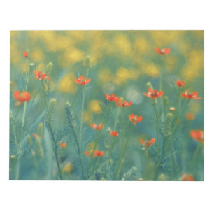 zomerbloemen (Floral Field) (Rode bloemen) Notitieblok