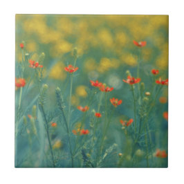 zomerbloemen (Floral Field) (Rode bloemen) Tegeltje