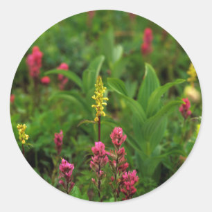 Zomerbloemen Sturen Een Kleurenexplosie Ronde Sticker