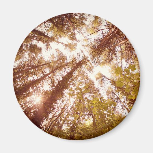  zomerbomen magneet (Voorkant)