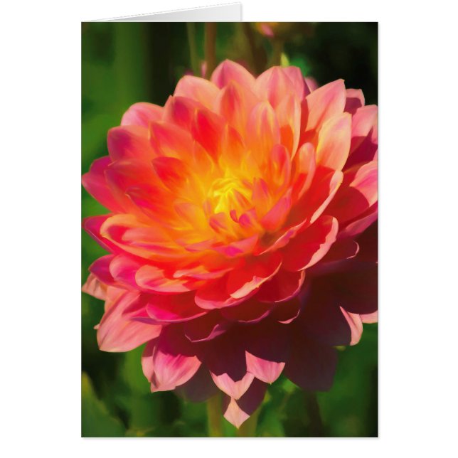 Zomerbril (Voorkant)