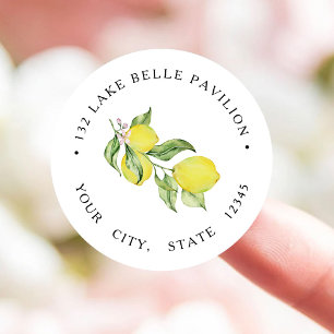 Zomercitroenen Retouradres Ronde Sticker