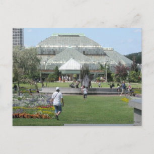 zomerdag in Chicago Briefkaart