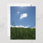 zomergebied briefkaart (Voorkant / Achterkant)