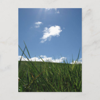 zomergebied briefkaart