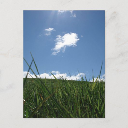 zomergebied briefkaart (Voorkant)