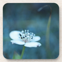 zomerherinneringen drankjes onderzetter