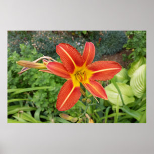 zomerkleuren poster