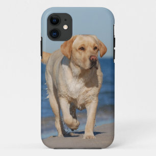 Zomerlab iPhone 11 Hoesje