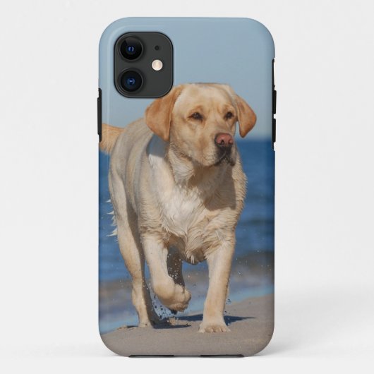 Zomerlab Case-Mate iPhone Case (Achterkant)