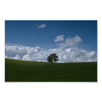 Zomerlandschap (Old Linslade 8354)  Foto Afdruk