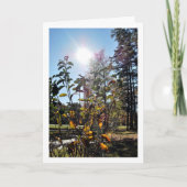 Zomerlandschap op het platteland kaart (Voorkant)