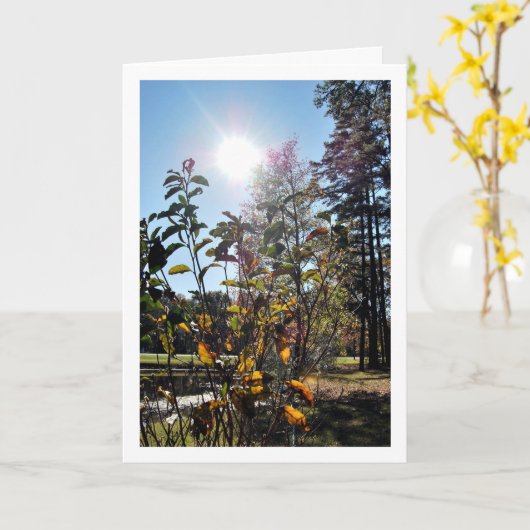 Zomerlandschap op het platteland kaart (Gele Bloem)