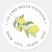 Zomerlemons Retouradres Ronde Sticker (Voorkant)