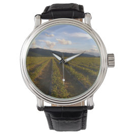 zomermuurwacht horloge